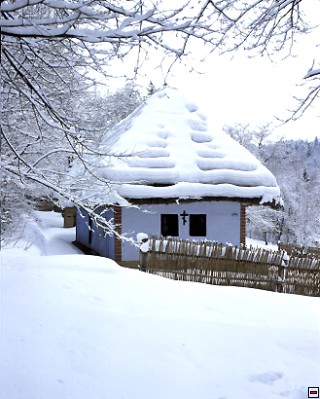 img00005.jpg