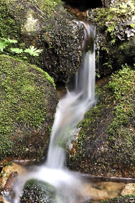 img00018.jpg