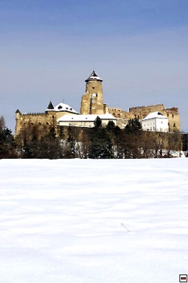 img00042.jpg