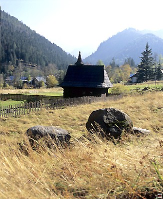 img00050.jpg