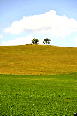 img00055.jpg