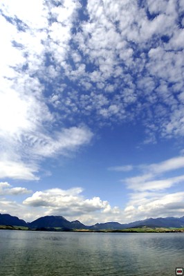 img00056.jpg