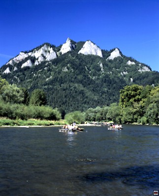 img00061.jpg