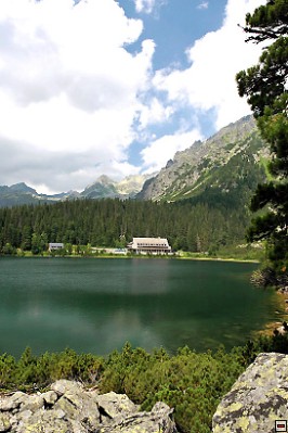 img00062.jpg