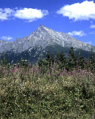 img00076.jpg