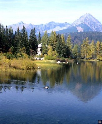 img00077.jpg