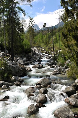img00079.jpg