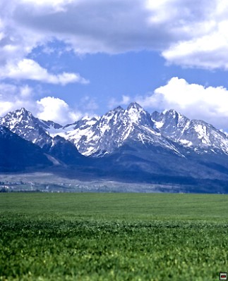 img00083.jpg